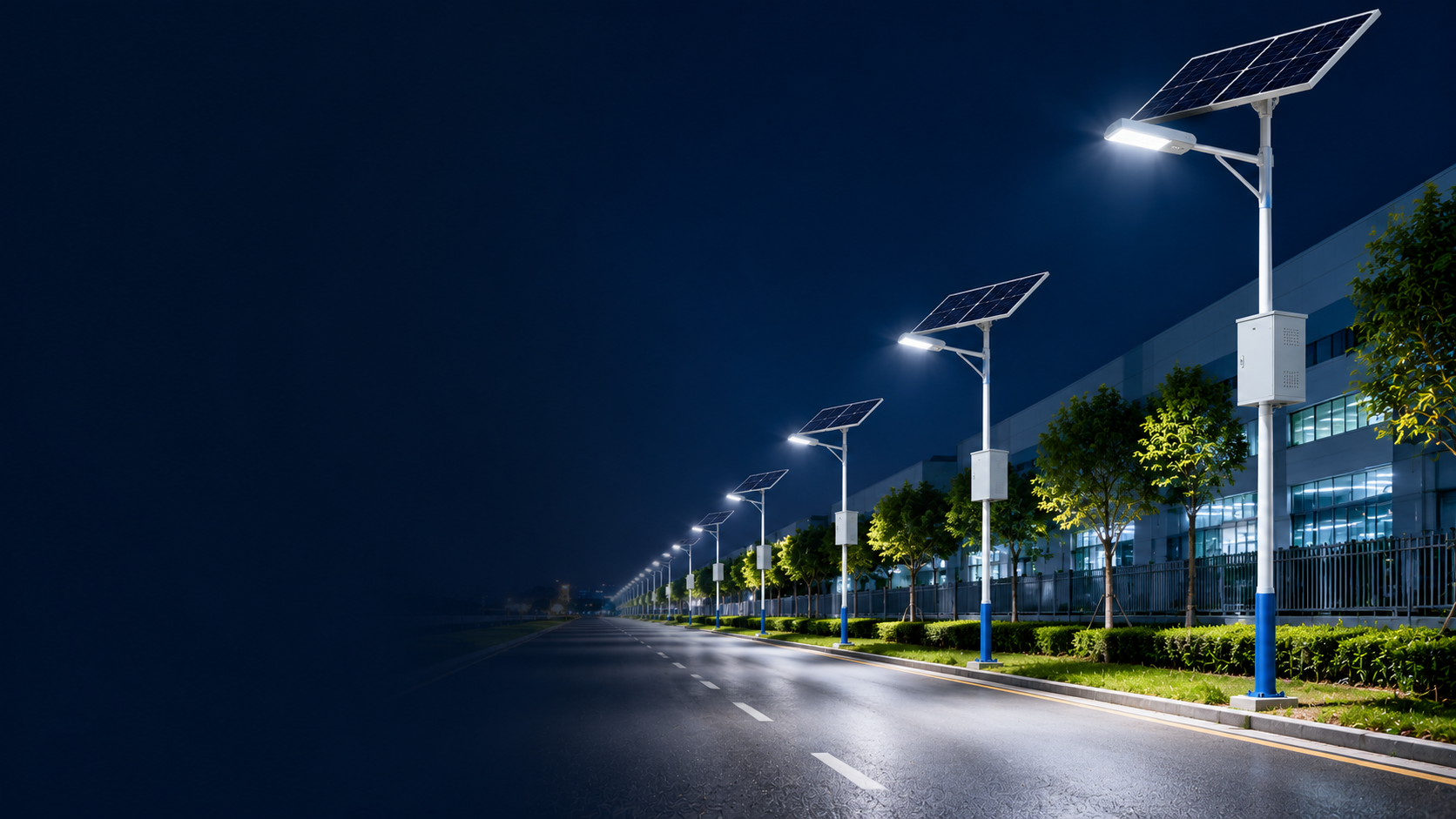 Commercial Solar Street Light